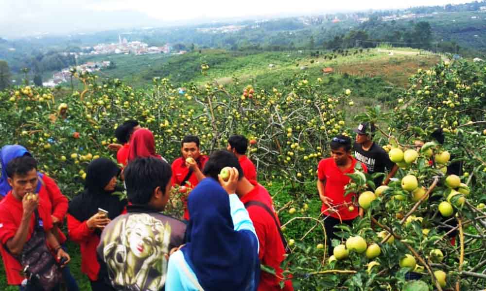 Paket Wisata Kota Batu-Malang